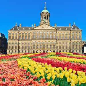 在阿姆斯特丹, 荷兰登上敞篷巴士 – 2026年随上随下之旅发现顶级景点、古迹和隐秘瑰宝