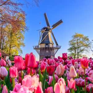 通过随上随下巴士之旅按自己的速度探索阿姆斯特丹 – 2026年全景视野、语音导览和无限制站点